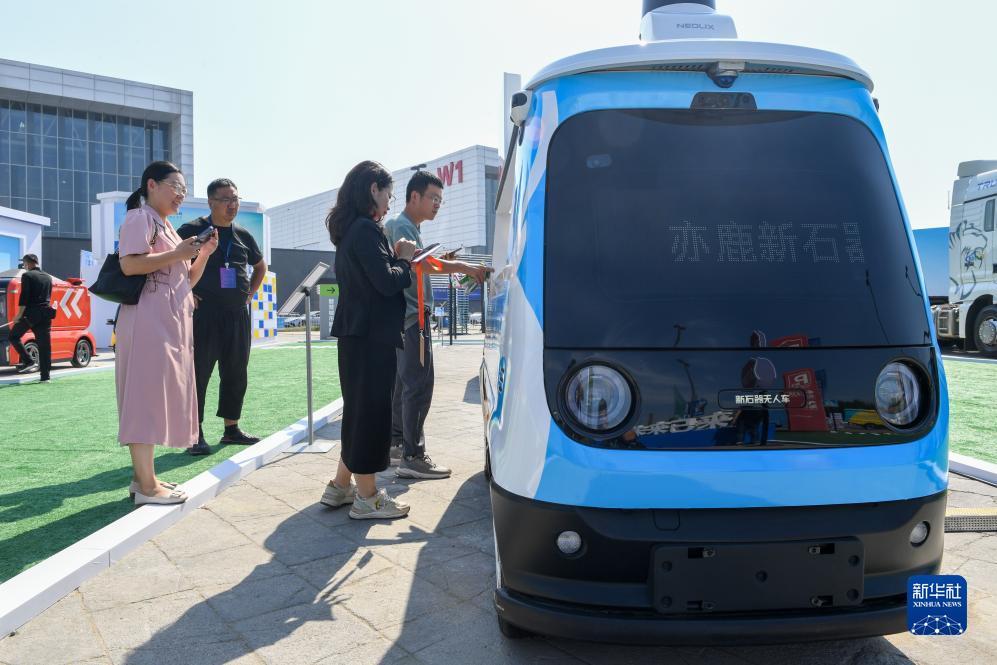 赌注什么好玩一点